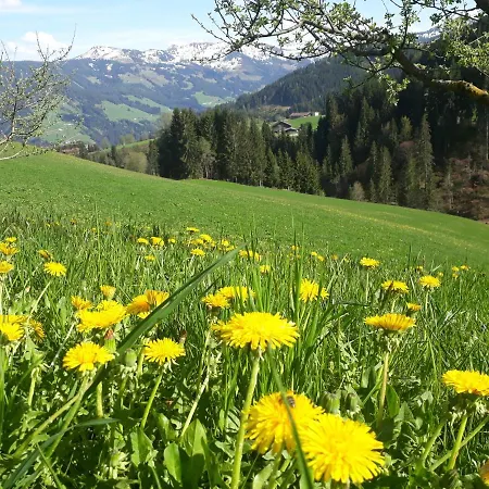 Sonnenappartements Madlstatthof * Wildschoenau