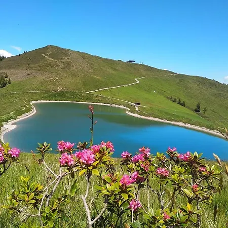 Sonnenappartements Madlstatthof