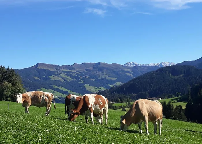 Sonnenappartements Madlstatthof Lejlighed