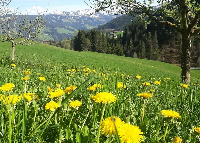 Sonnenappartements Madlstatthof * Wildschoenau