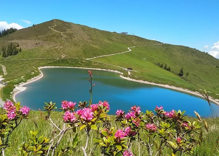 Sonnenappartements Madlstatthof