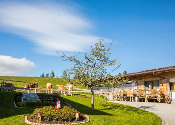 Sonnenappartements Madlstatthof Lejlighed Wildschoenau