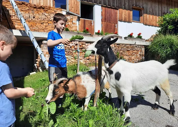 Lejlighed Sonnenappartements Madlstatthof Wildschoenau