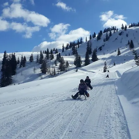 Apartamento Sonnenappartements Madlstatthof