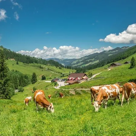 Sonnenappartements Madlstatthof Apartamento Wildschoenau