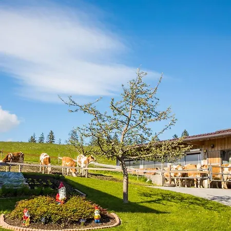 Sonnenappartements Madlstatthof Apartamento Wildschoenau