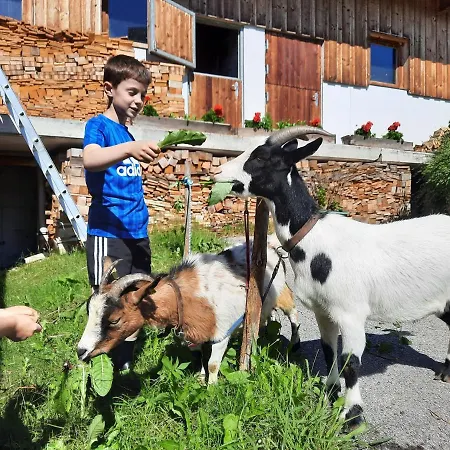 Apartamento Sonnenappartements Madlstatthof Wildschoenau